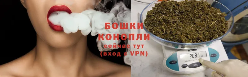 Канабис OG Kush  Аркадак 